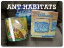 live ant habitats, ant hill, antworks, antworks tunnelvision
