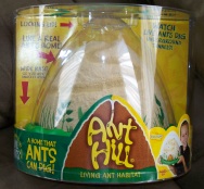 Ant Hill Ant Habitat
