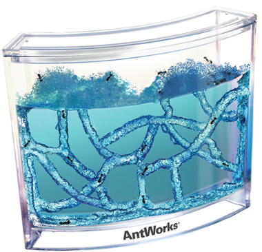 Fascinations Antworks Gel Ant Habitat