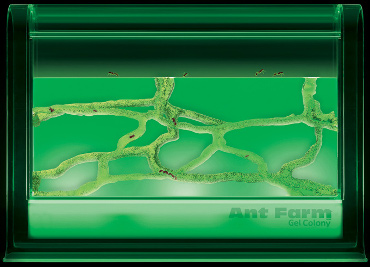 Uncle Milton Light Up Gel Ant Farm Colony