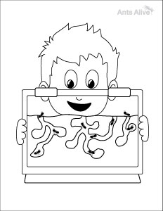 Free ant farm coloring page for kids
