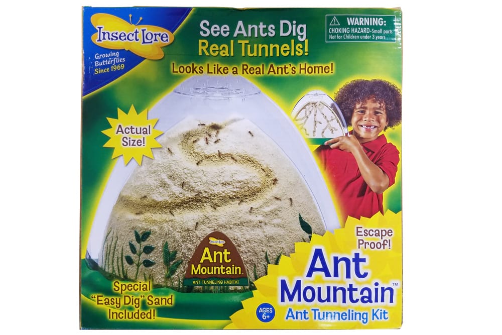 Ant Mountain 0