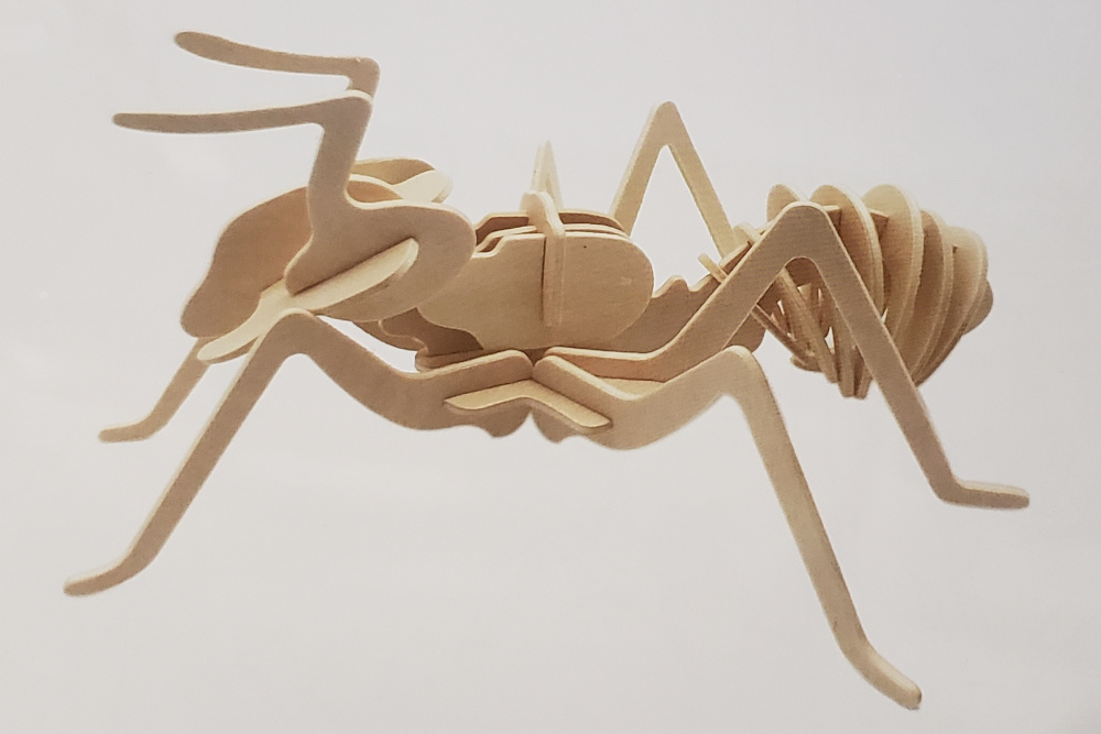 3D Worker Ant Puzzle 1