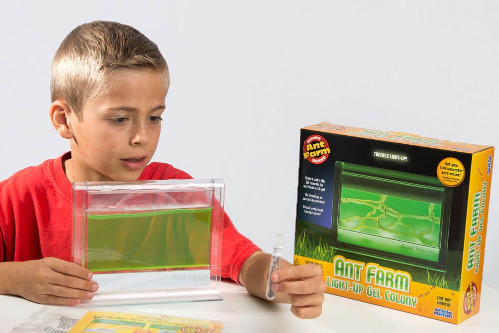 Light-Up Gel Ant Farm 1