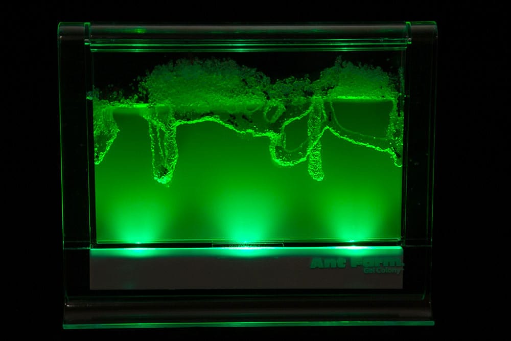 Light-Up Gel Ant Farm 0