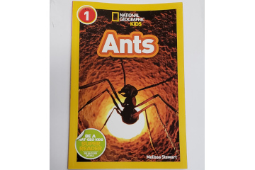 Kids Ants Book