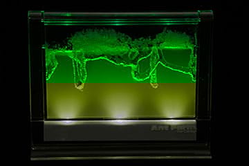 Light-Up Gel Ant Farm