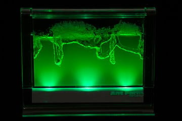 Light-Up Gel Ant Farm